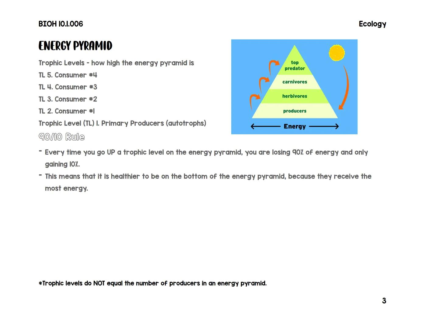 BIOH 10.1.006

# Food Webs & Energy Pyramids

# VOCABULARY

Herbivore: animals that eat only plants

Omnivores: animals that eat both plant 