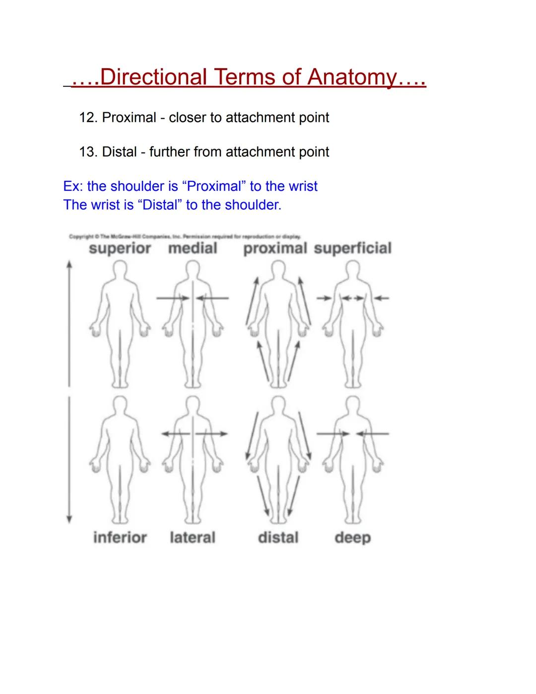 ....Directional Terms of Anatomy....

1. Frontal plane - front half / back half
2. Sagittal plane - left half / right half
3. Transverse pla