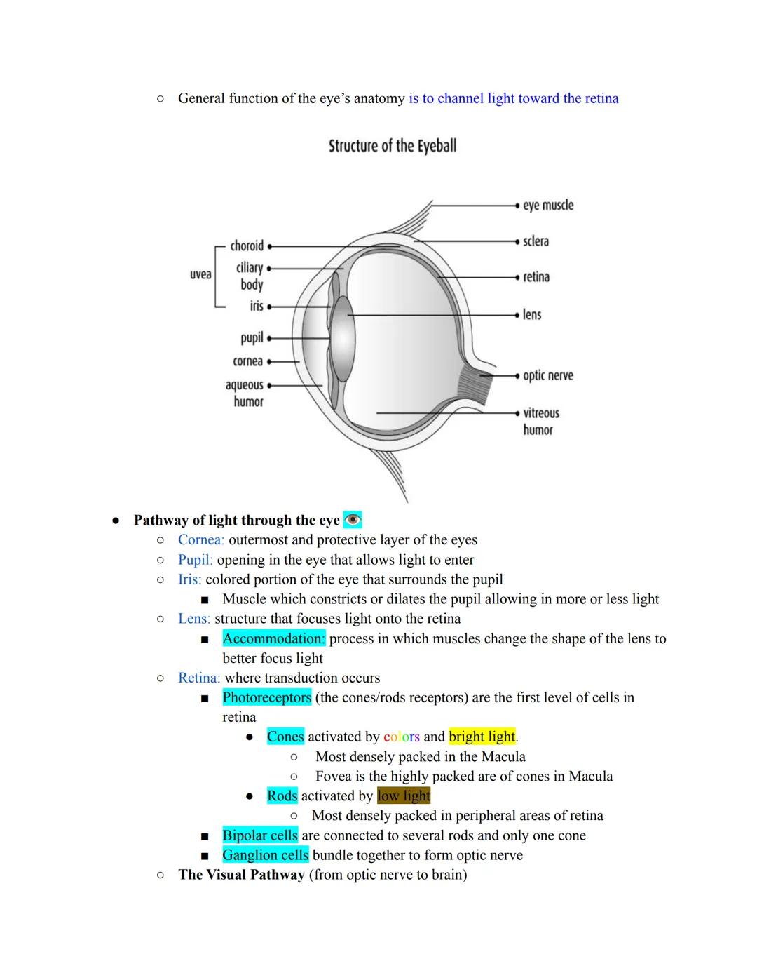 
<p>Sensations are the processes through which sensory organs/receptor cells detect stimuli, and transduction is the conversion of stimuli i