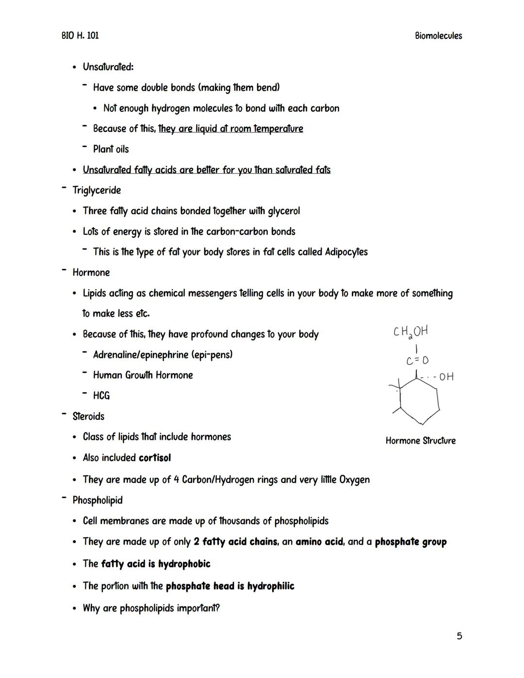 # ΒΙΟ Η. 101

Biomolecules

# Biomolecules

Biomolecules are also sometimes referred to as macromolecules.

- They are large complex compoun