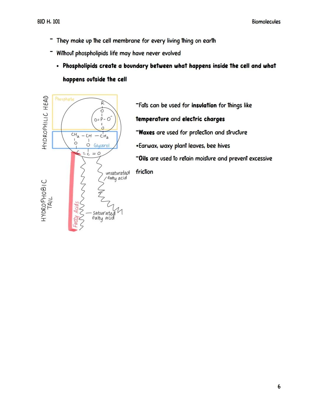 # ΒΙΟ Η. 101

Biomolecules

# Biomolecules

Biomolecules are also sometimes referred to as macromolecules.

- They are large complex compoun