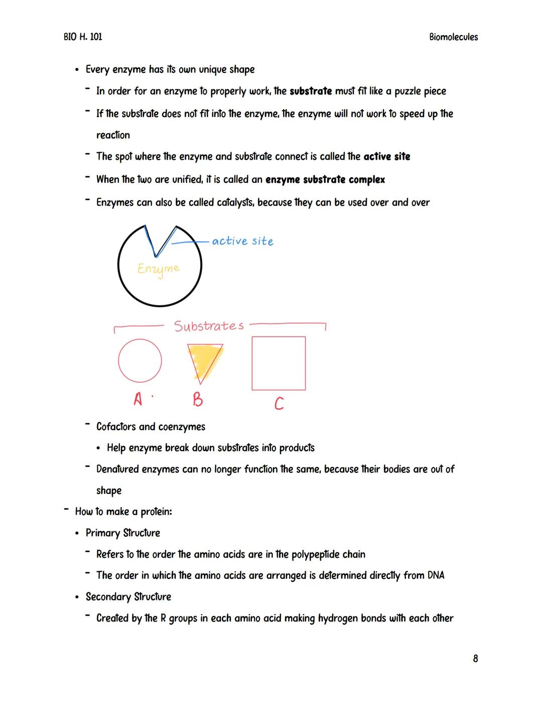 # ΒΙΟ Η. 101

Biomolecules

# Biomolecules

Biomolecules are also sometimes referred to as macromolecules.

- They are large complex compoun
