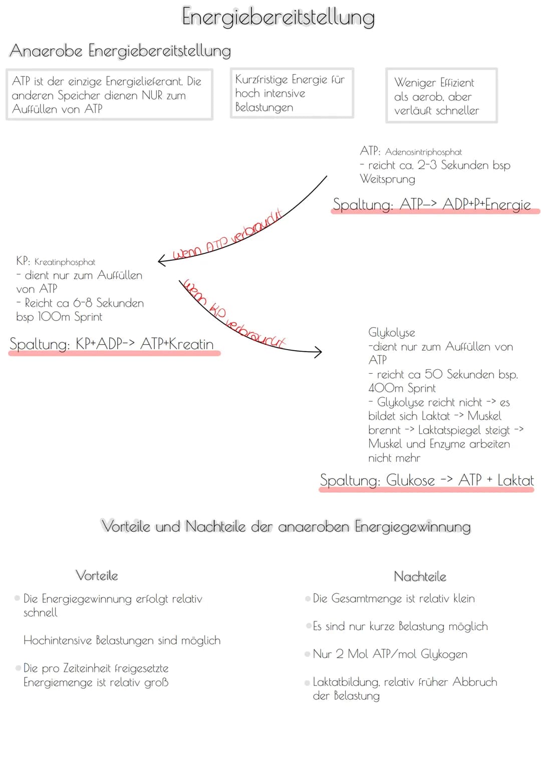 # Energiebereitstellung

Anaerobe Energiebereitstellung

ATP ist der einzige Energielieferant. Die
anderen Speicher dienen NUR zum
Auffüllen