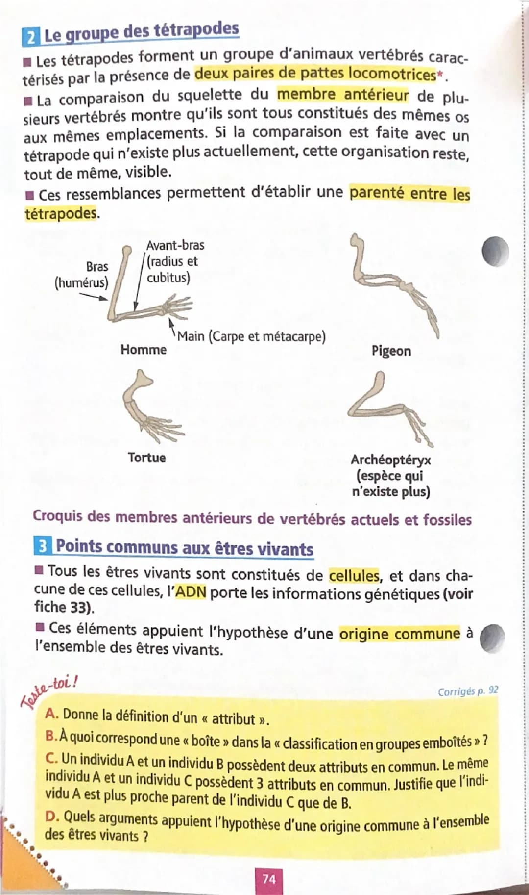 # Parenté entre êtres vivants

Fiche
32

1 La classification du vivant

■ Pour classer les organismes, il faut
définir les attributs qu'ils 