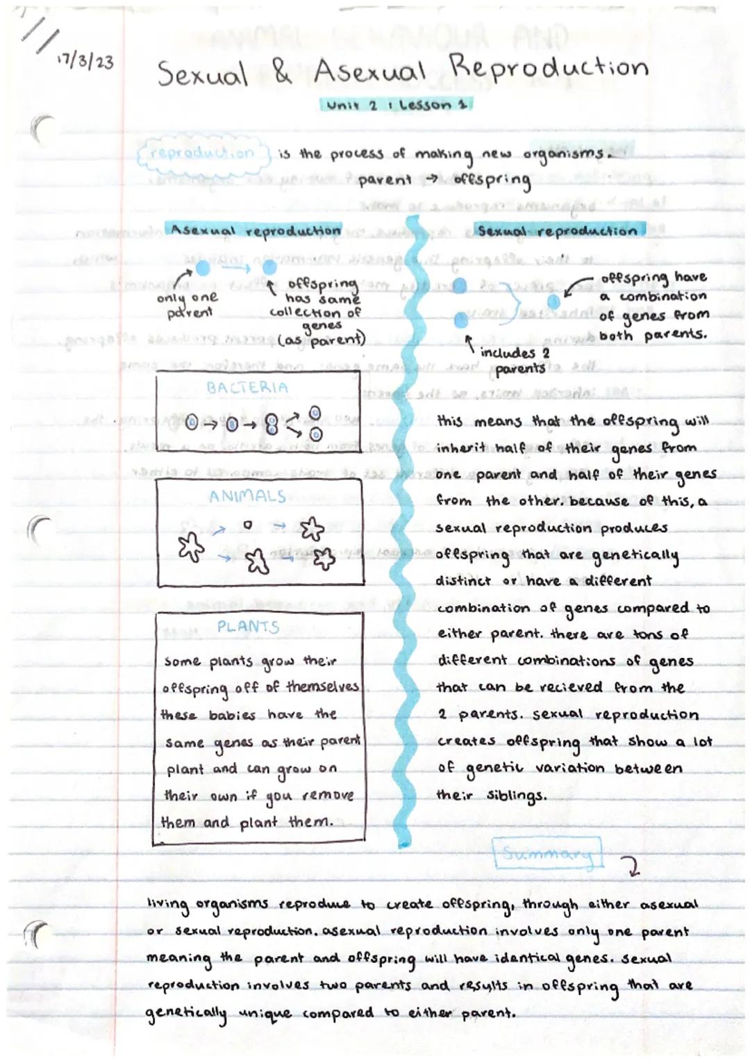 17/3/23

Sexual & Asexual Reproduction

Unit 2 Lesson 1

reproduction is the process of making new organisms.
ελλιαρης τον με parent offspri
