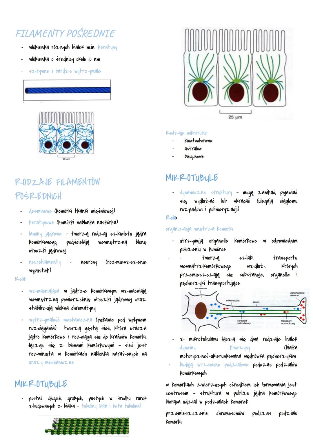 # CYTOPLAZMA

WNĘTRZE KOMÓRKI

- jądro komórkowe
- cytoplaz-ma

CYTOPLAZMA

- aytozol -półpłynny składnik cytoplaz-my
- organelle komórkowe 