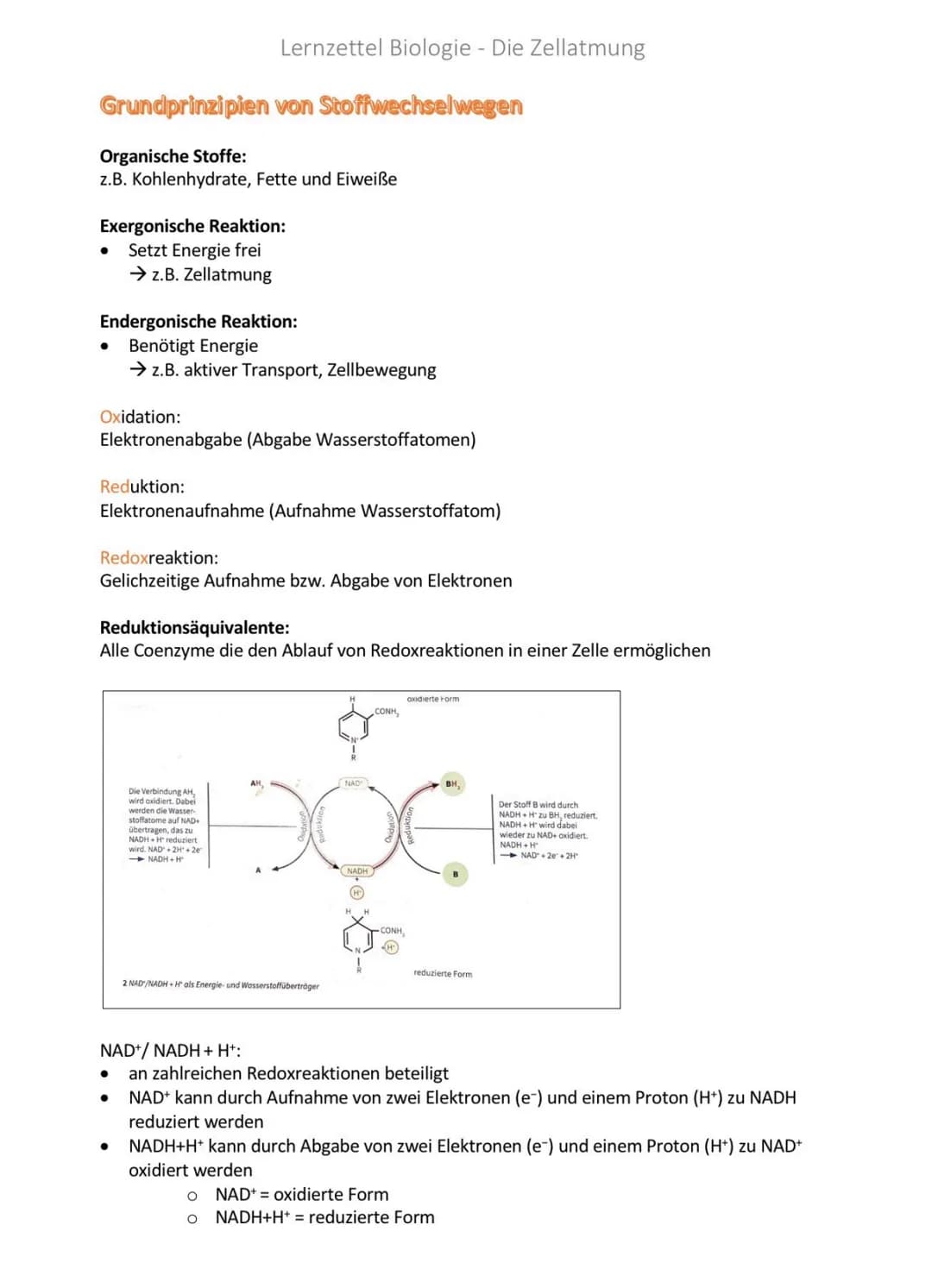 Lernzettel Biologie - Die Zellatmung

Grundprinzipien von Stoffwechselwegen

Organische Stoffe:
z.B. Kohlenhydrate, Fette und Eiweiße

Exerg