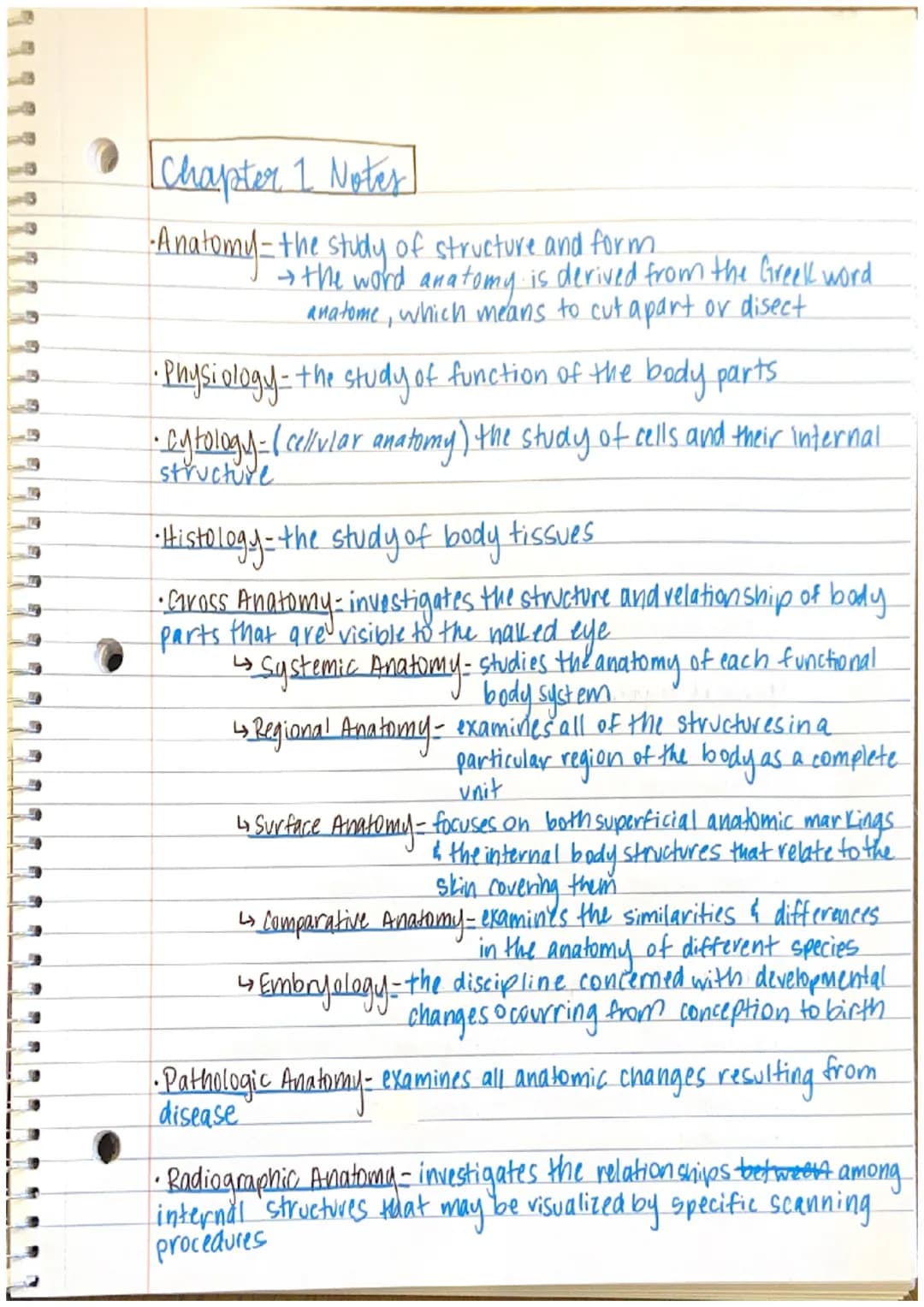 Chapter 1 Notes

•Anatomy-the study of structure and form
→the word anatomy is derived from the Greek word
anatome, which means to cut apart