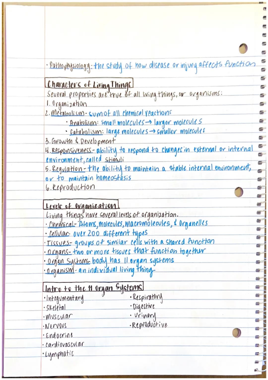 Chapter 1 Notes

•Anatomy-the study of structure and form
→the word anatomy is derived from the Greek word
anatome, which means to cut apart