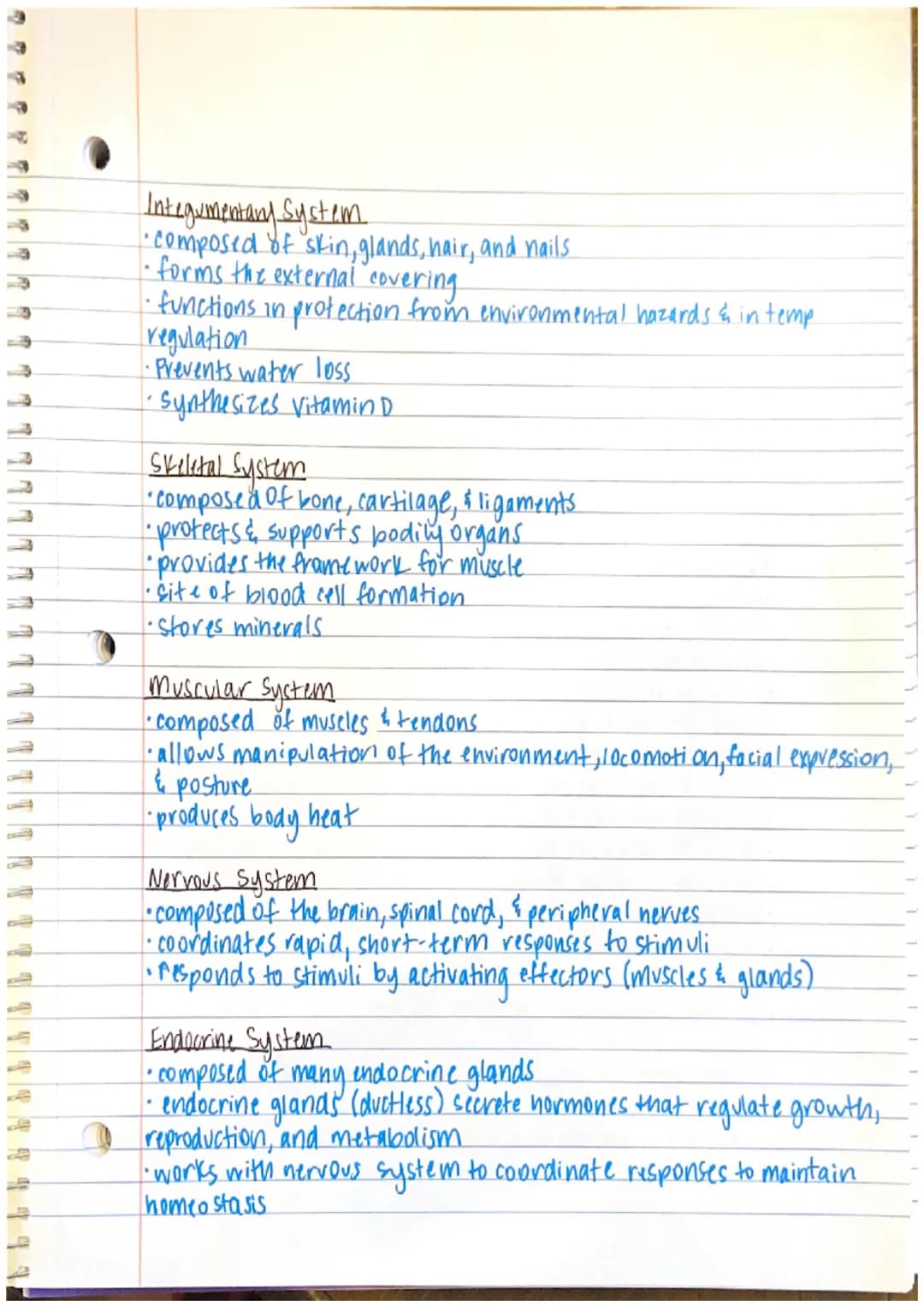 Chapter 1 Notes

•Anatomy-the study of structure and form
→the word anatomy is derived from the Greek word
anatome, which means to cut apart