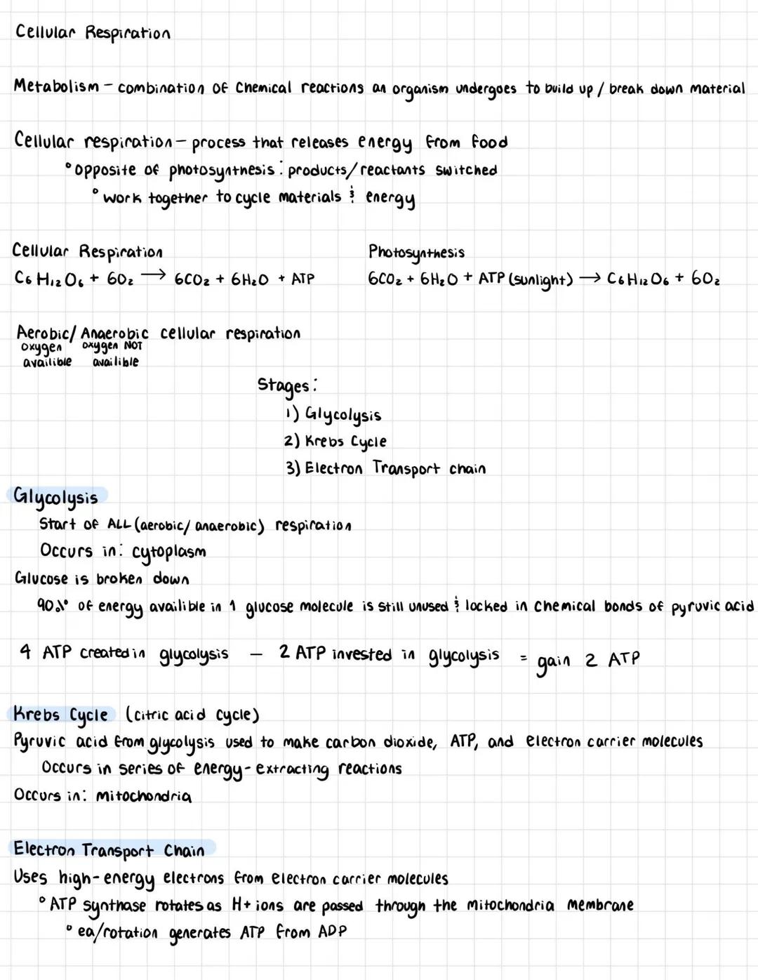 # Cellular Respiration

Metabolism - combination of Chemical reactions an organism undergoes to build up / break down material

Cellular res