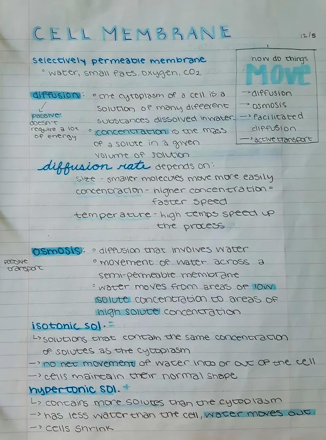 # CELL MEMBRANE

selectively permeable membrane
*   water, small fats, oxygen, co₂

diffusion: che cytoplasm of a cell is a

passive.
doesn'