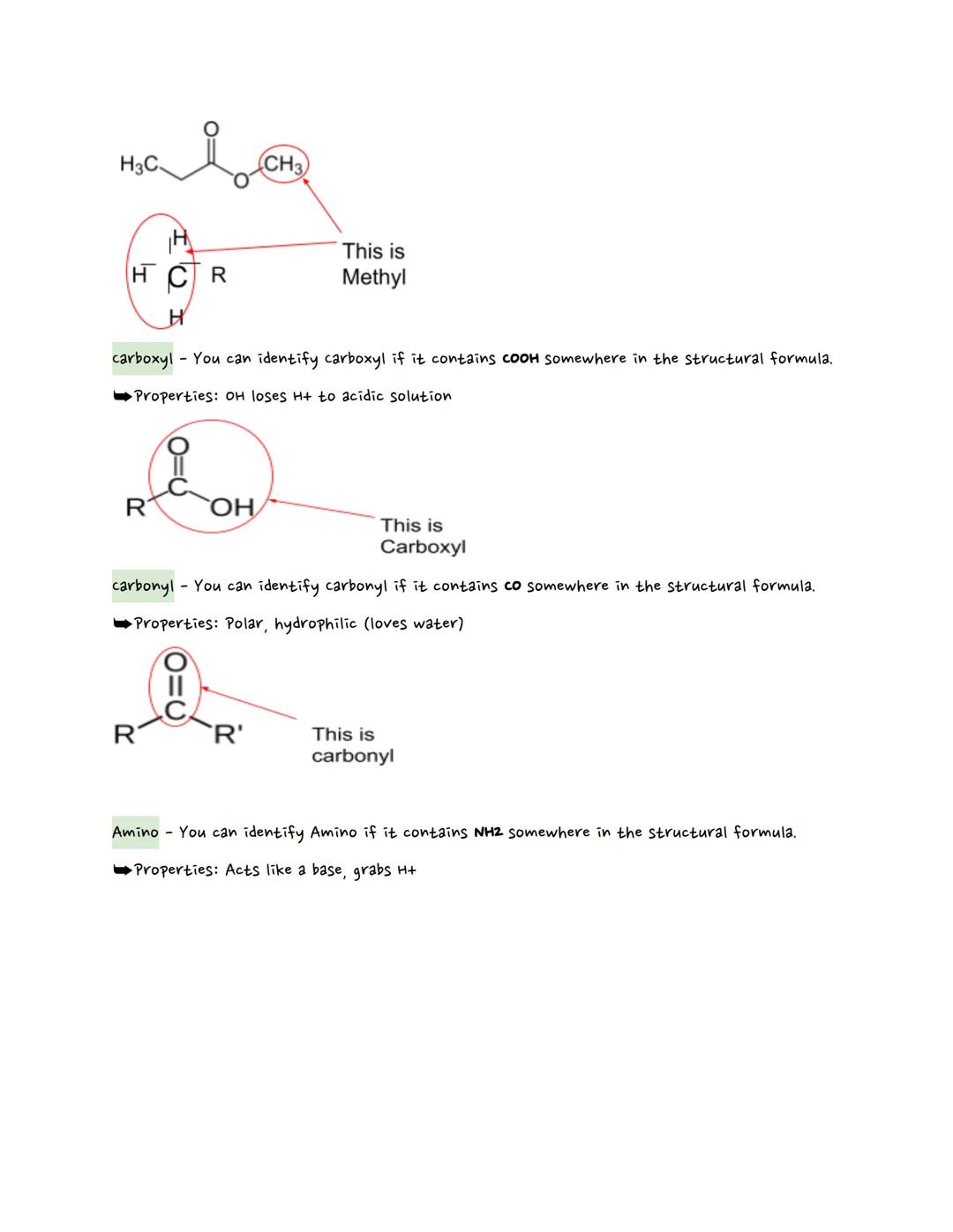 Cherokestistry Casabon

carbon (Review)

IN THIS SECTION:

1) organic vs Inorganic

2) Hydrocarbons

3) Molecular vs Structural vs Empirical
