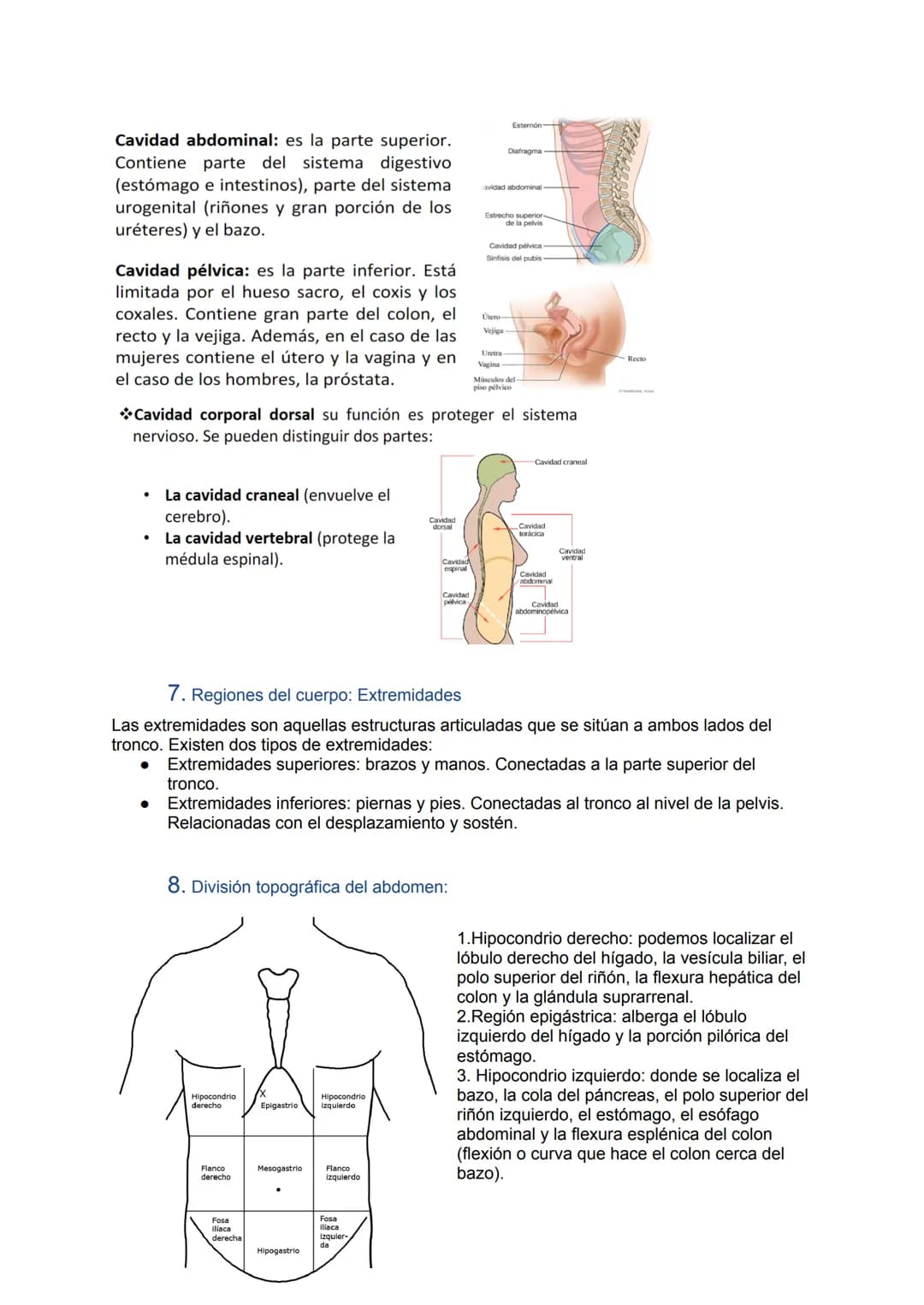 # Tema 1: Introducción a la anatomía humana

1. Introducción:
El cuerpo humano está formado por una combinación de sistemas y aparatos que t