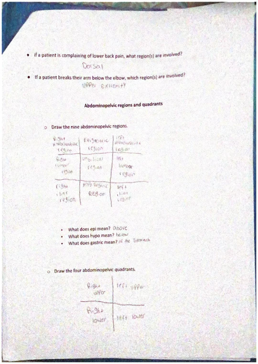 # Intro to the Human Body - A&PI

Group Work #1

Match the organ system with the function

E Endocrine System

F Integumentary System

A Imm