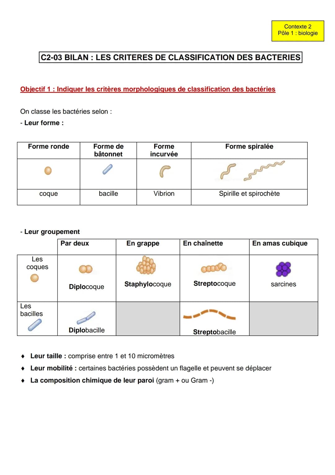 Contexte 2
Pôle 1: biologie

C2-03 BILAN: LES CRITERES DE CLASSIFICATION DES BACTERIES

Objectif 1: Indiquer les critères morphologiques de 