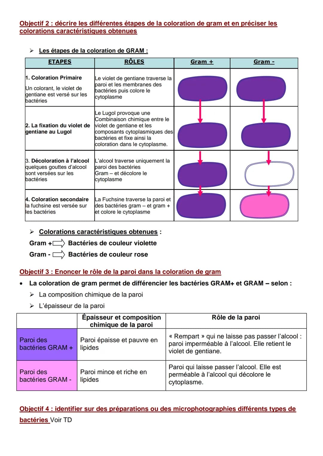 Contexte 2
Pôle 1: biologie

C2-03 BILAN: LES CRITERES DE CLASSIFICATION DES BACTERIES

Objectif 1: Indiquer les critères morphologiques de 