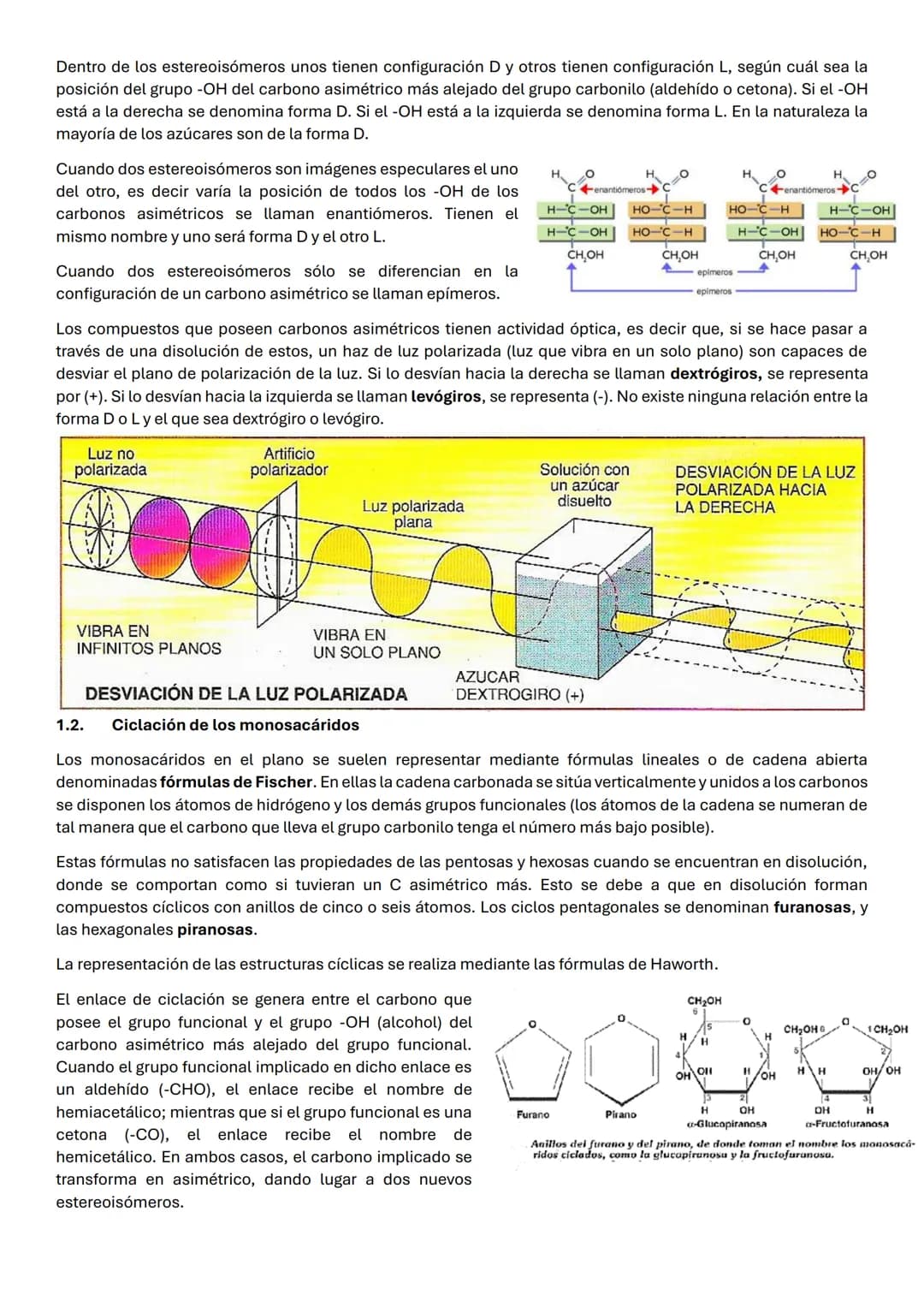# UD 2: BIOMOLECULAS ORGANICAS: GLUCIDOS

Los glúcidos son biomoléculas orgánicas que están formadas principalmente por C, Hy O. Su fórmula 