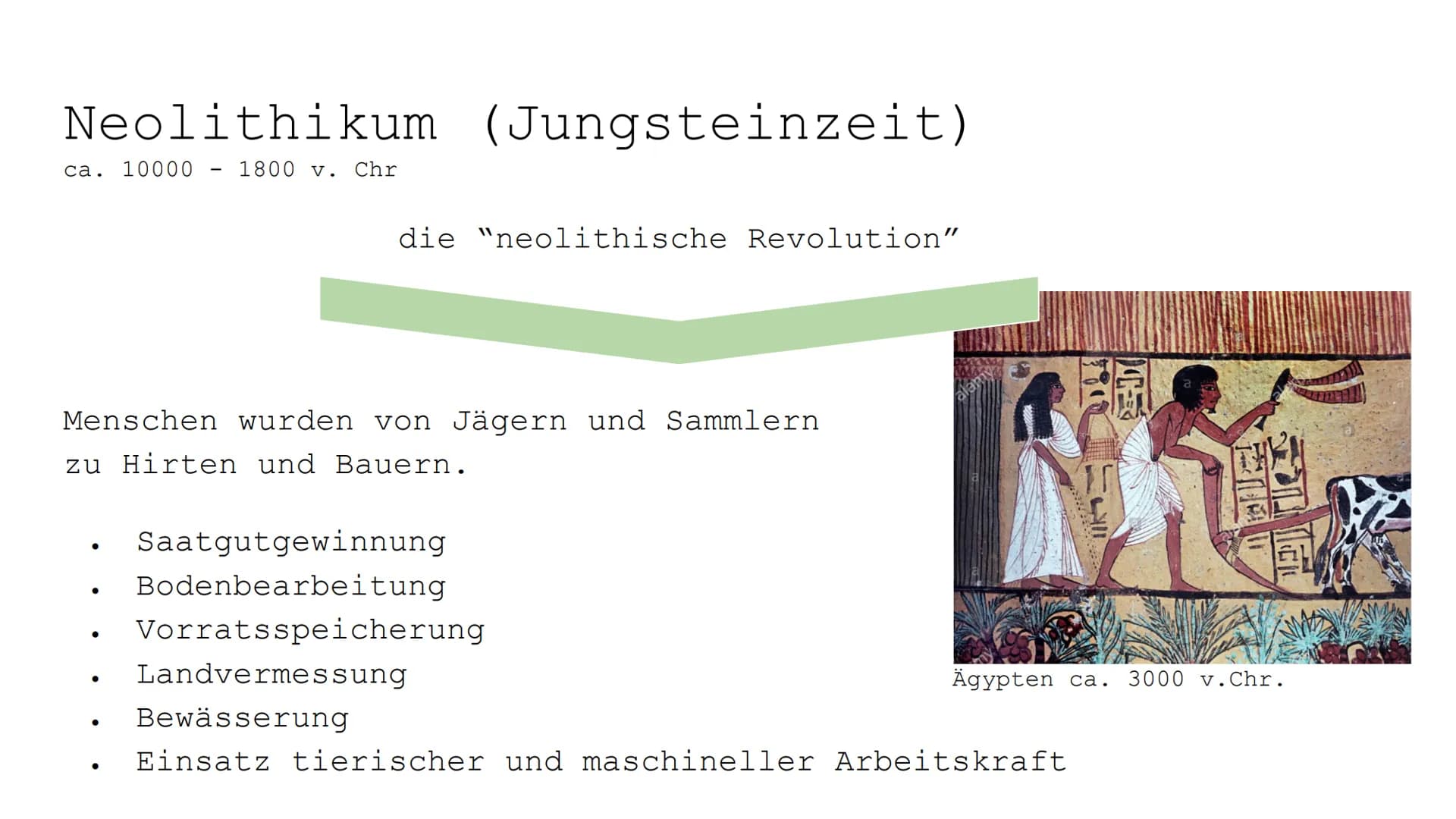 Monokulturen und
Schädlingsbekämpfung # Paläodithikum (Altsteinzeit)
ca. 2.6 Mio. - 10000 v. Chr

Störungen des ökologischen Gleichgewichts
