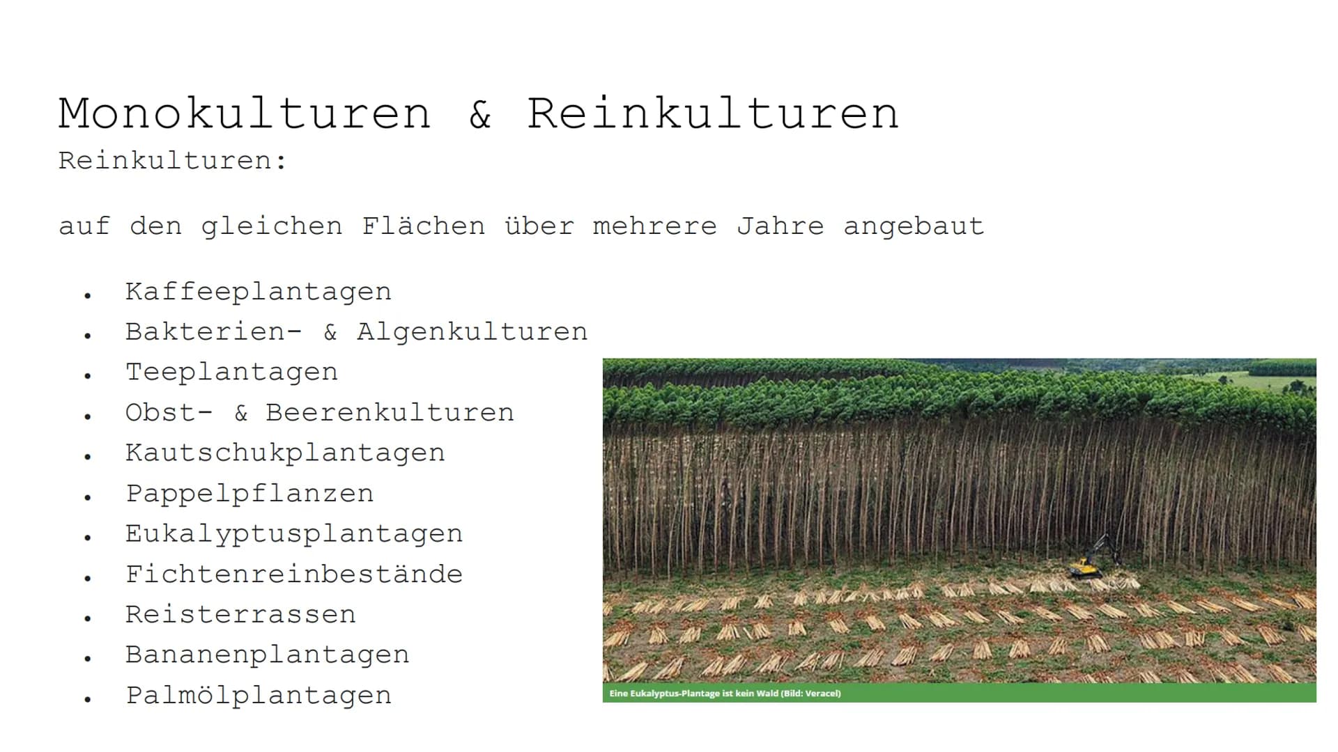 Monokulturen und
Schädlingsbekämpfung # Paläodithikum (Altsteinzeit)
ca. 2.6 Mio. - 10000 v. Chr

Störungen des ökologischen Gleichgewichts
