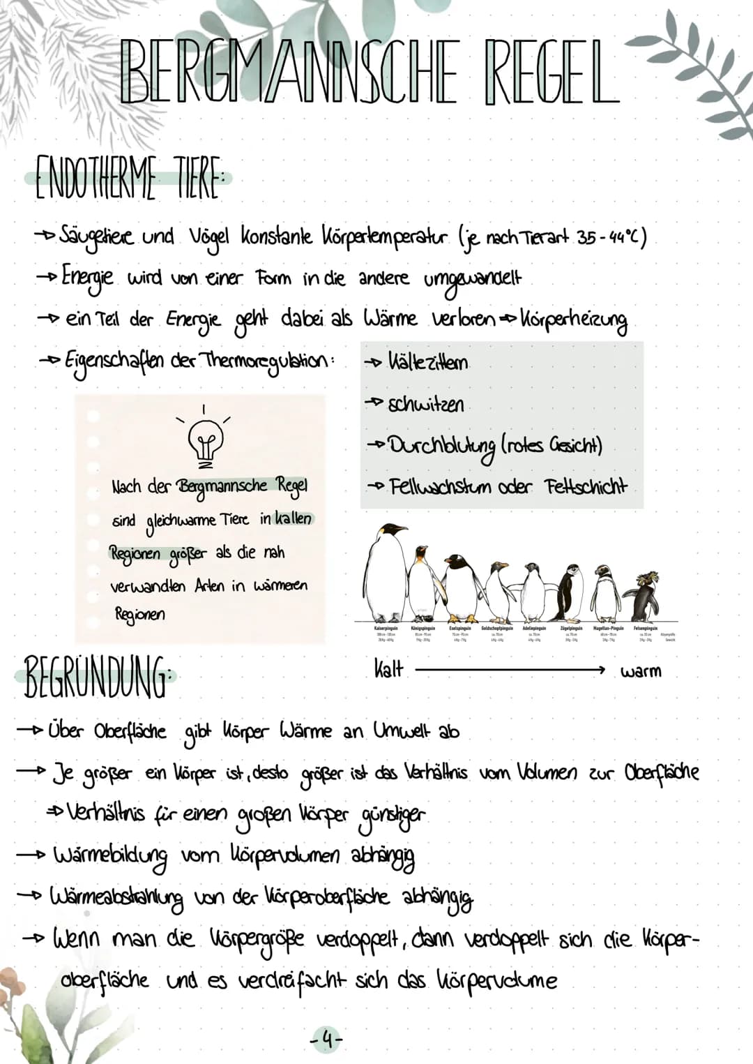 # BERGMANNSCHE REGEL

ENDOTHERME TIERE

→Säugetiere und Vögel konstante Körpertemperatur (je nach Tierart 35-44°C)

→
Energie
wird von einer