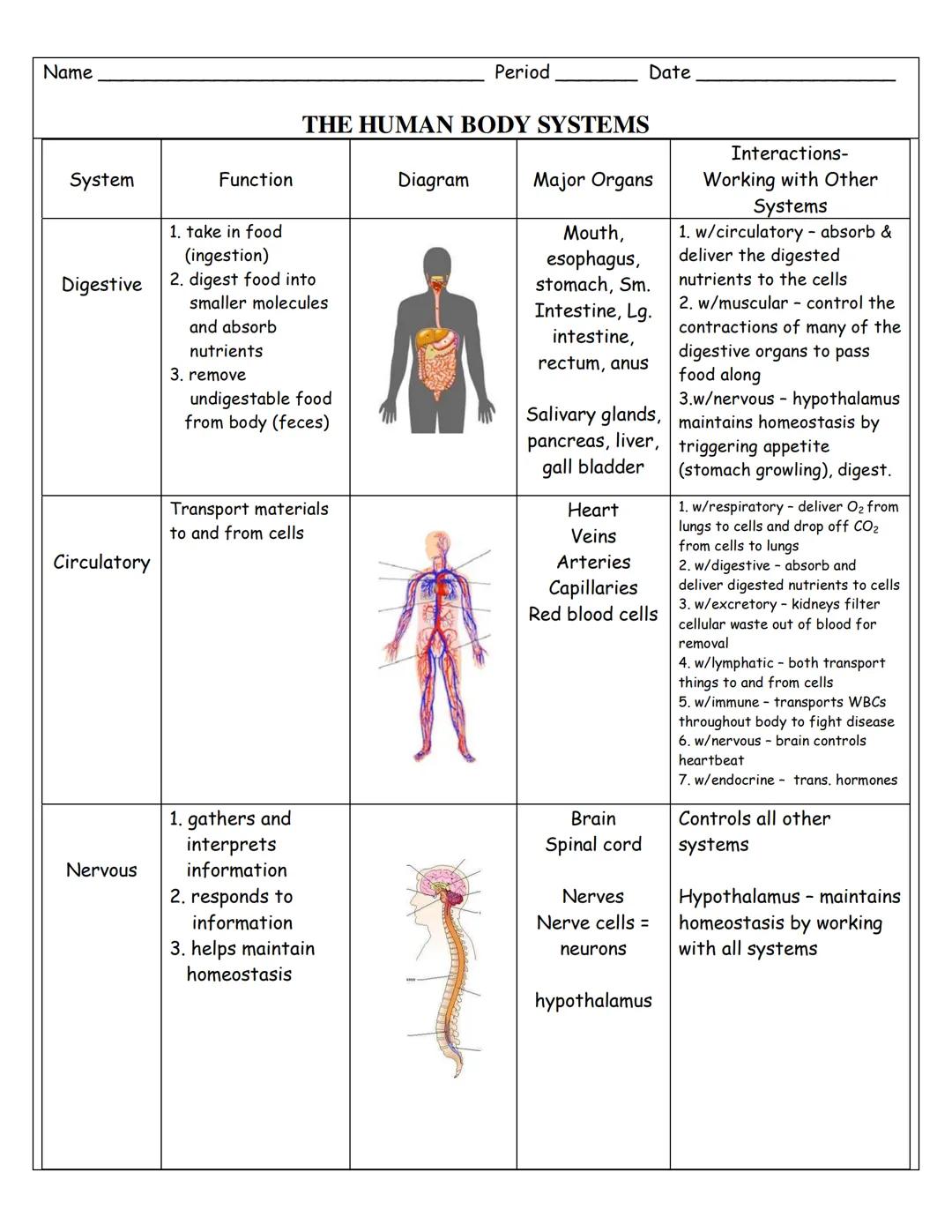 Name
Period
Date

# THE HUMAN BODY SYSTEMS

| System | Function | Diagram | Major Organs | Interactions-
Working with Other
Systems |
| --- 