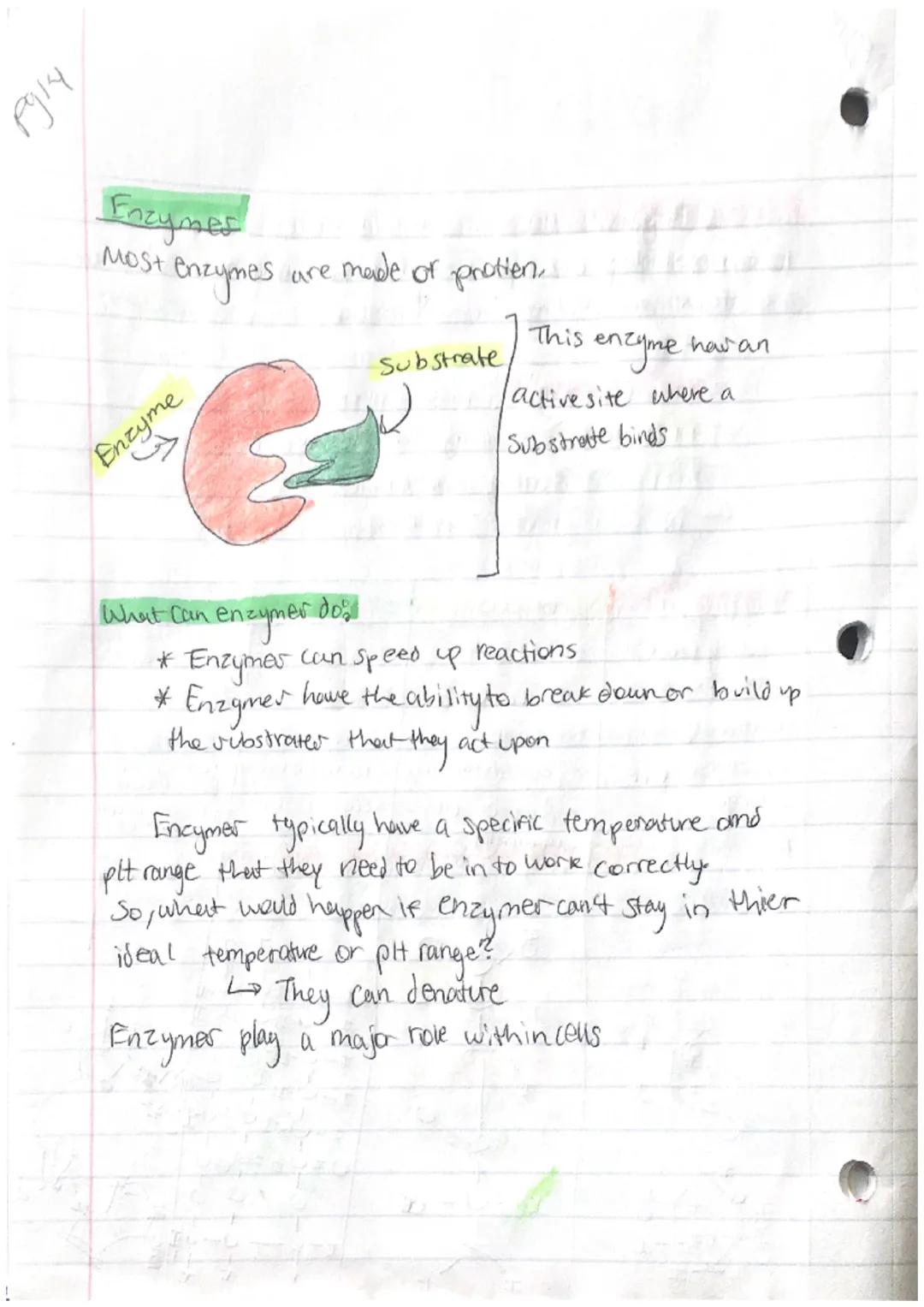 pyiz
PS Another, Bidogy

Characteristics Of Life:
-Organization
Homeostasis
Metabolism
Reproduction
Grouth and Development
-Response to stim