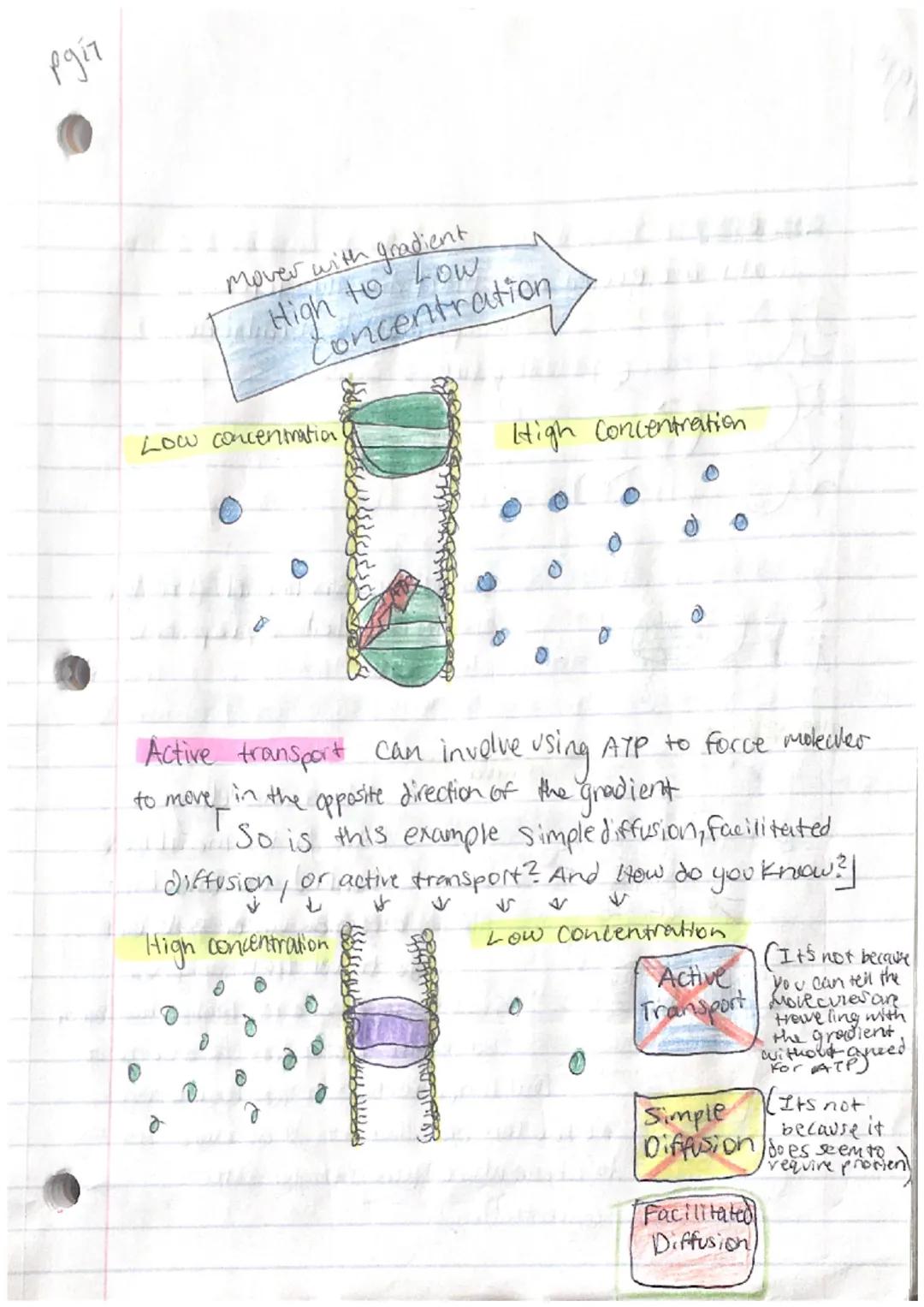 pyiz
PS Another, Bidogy

Characteristics Of Life:
-Organization
Homeostasis
Metabolism
Reproduction
Grouth and Development
-Response to stim