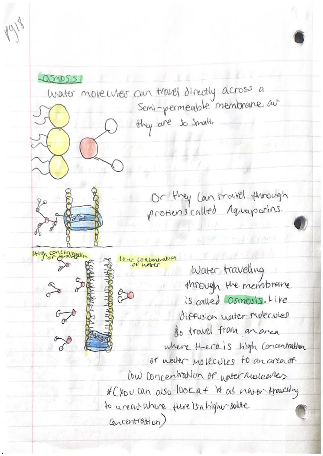 pyiz
PS Another, Bidogy

Characteristics Of Life:
-Organization
Homeostasis
Metabolism
Reproduction
Grouth and Development
-Response to stim