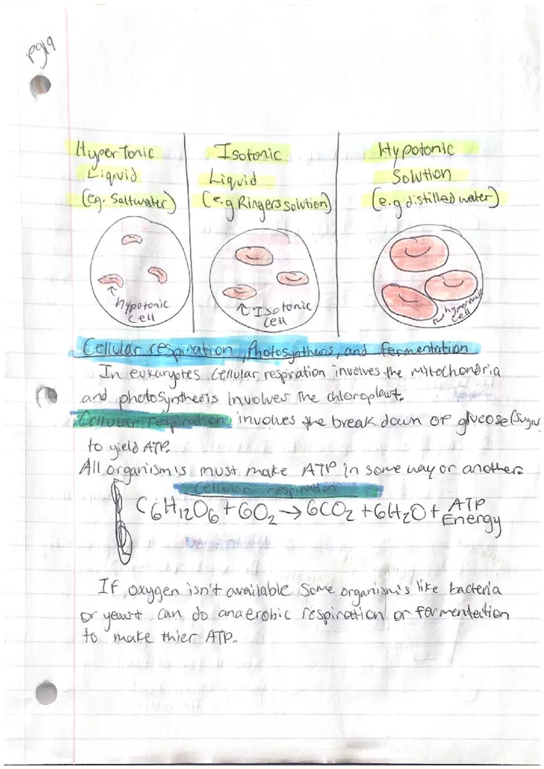pyiz
PS Another, Bidogy

Characteristics Of Life:
-Organization
Homeostasis
Metabolism
Reproduction
Grouth and Development
-Response to stim