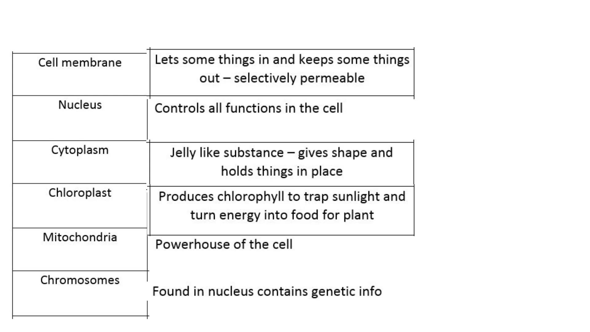 nucleus
Golgi
Complex
ribosome
::
mitochondria
ER
vacuole
cytoplasm
chromosome
Cell
membrane
chloroplast
Cell wall Cell membrane
Lets some t