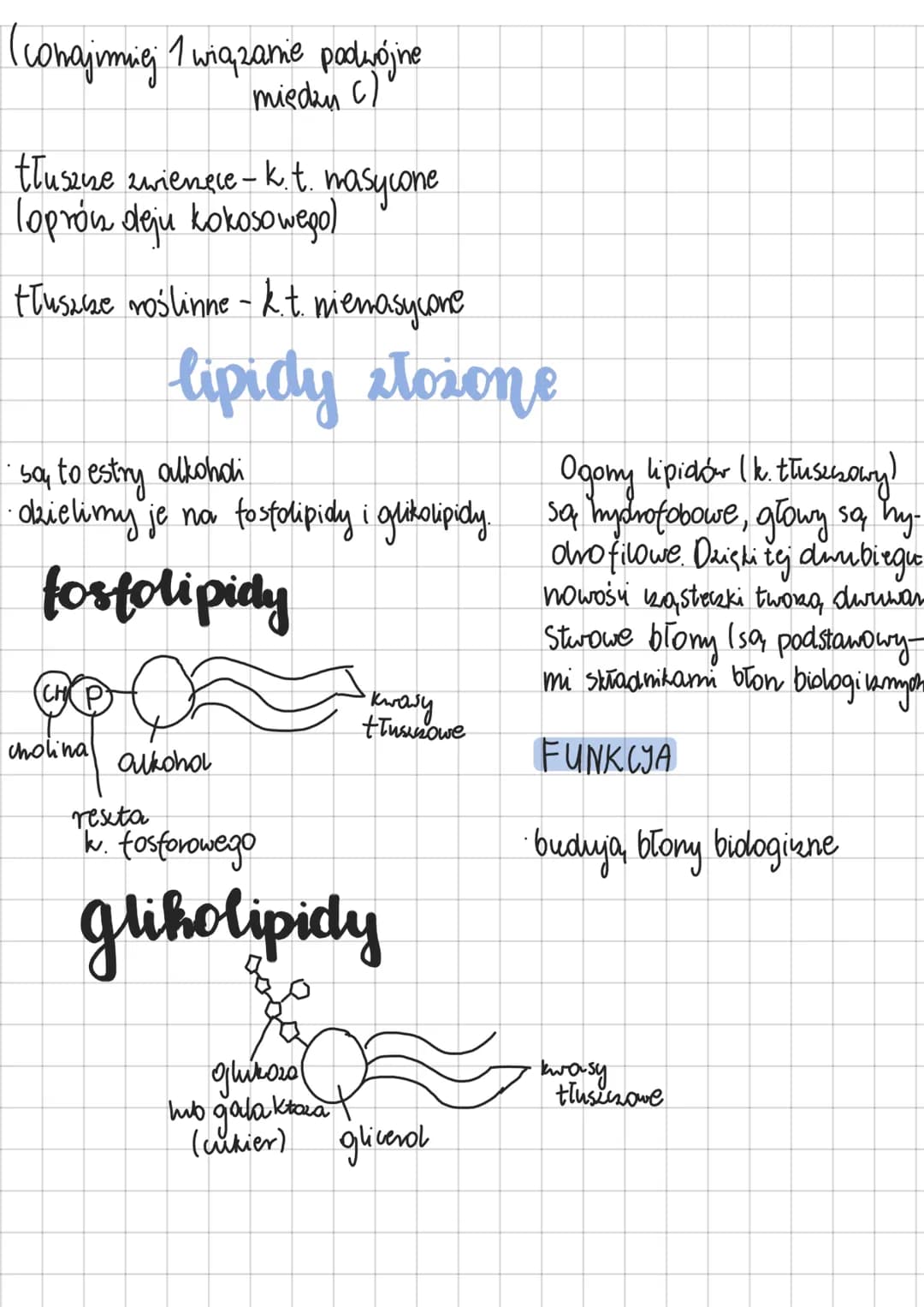 # lipidy

Składają się one głównie & C, HiO. Niektóre mogą zawierać Ni P. Mają niepolar-
na, budowe, więc sa hydrofobowe, czyli nierorpusika