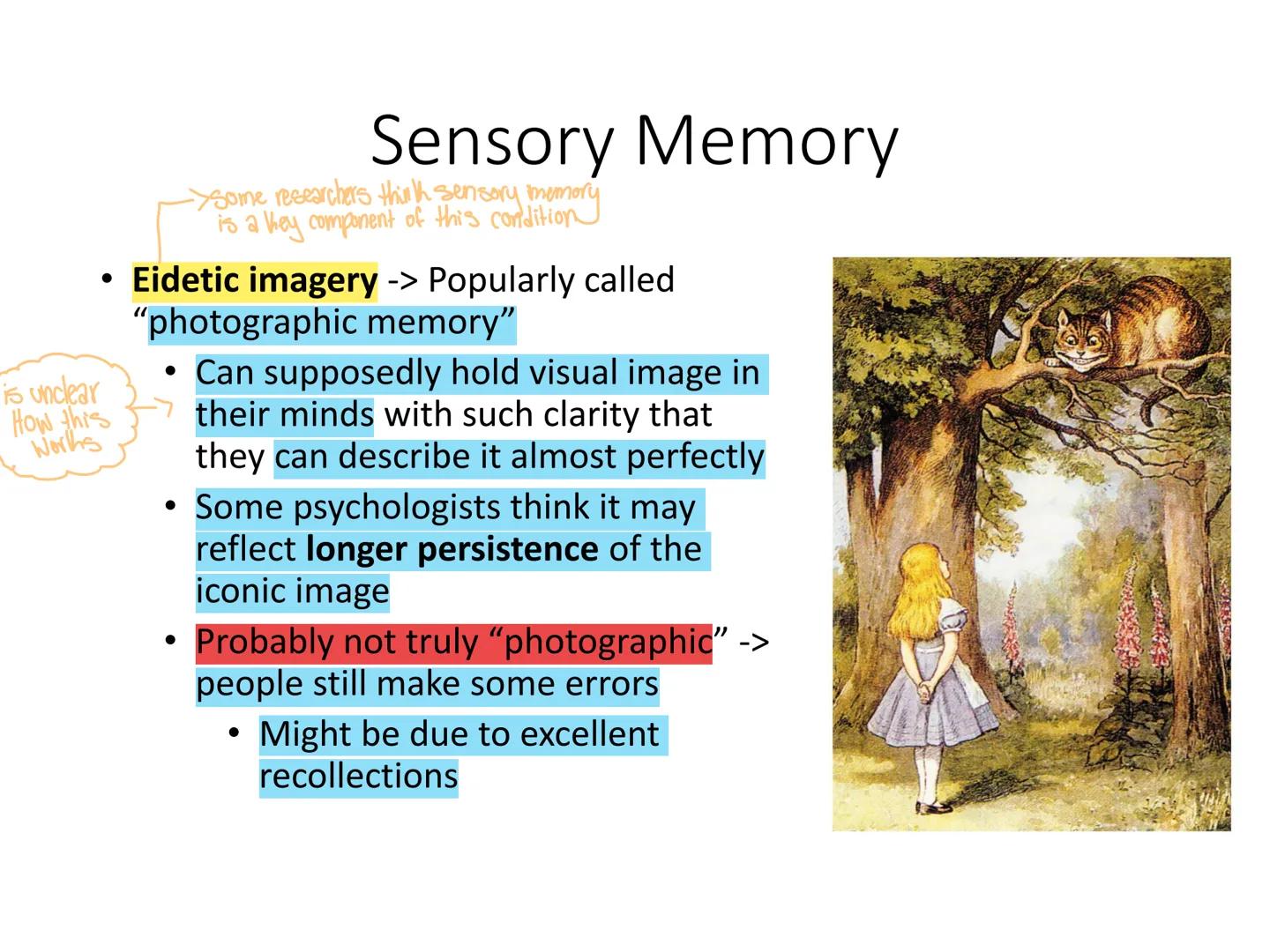 # Psyc 101 – Memory

Dr Nick Reid memory illusions
Sugue
•
# Memory

remembering something that never happen
• This is a memory illusion -> 