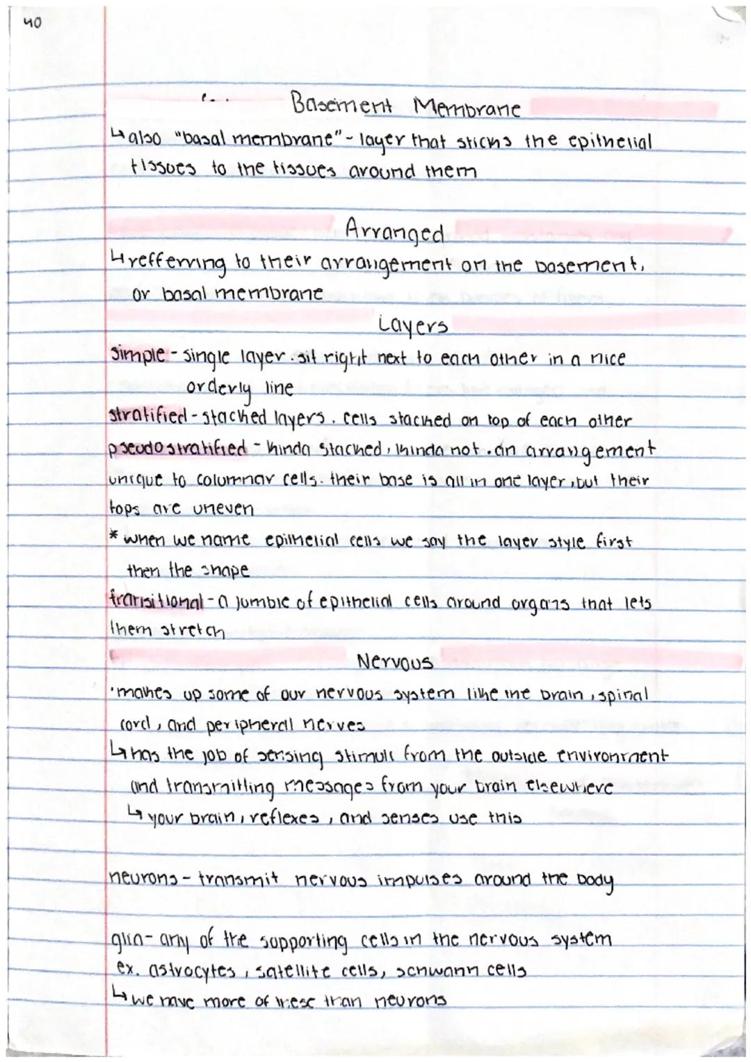 38

Intro to Histology. the 4 tissue types
histology: anatomy at the microscopic level

each of your organs has different types of specializ
