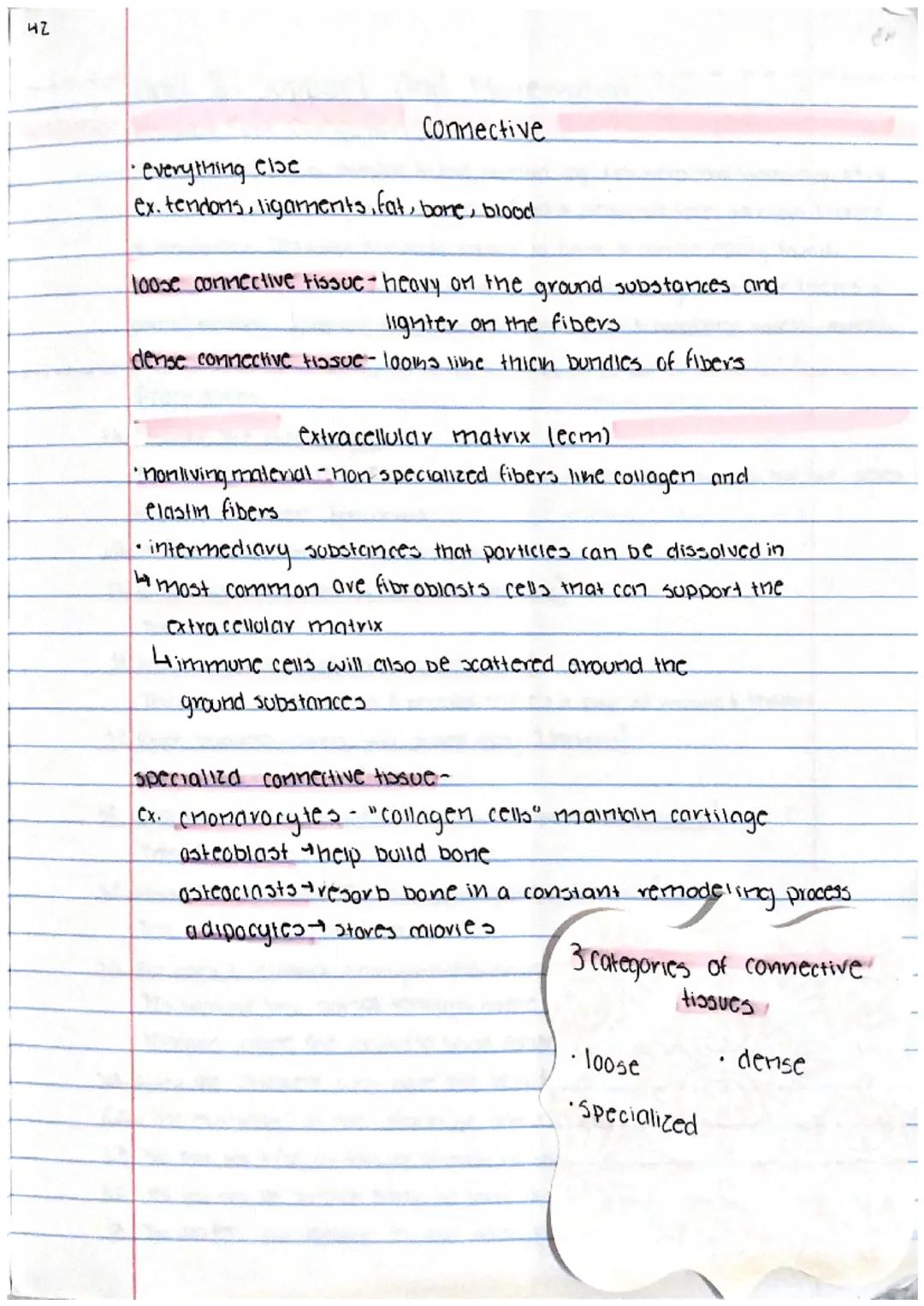 38

Intro to Histology. the 4 tissue types
histology: anatomy at the microscopic level

each of your organs has different types of specializ