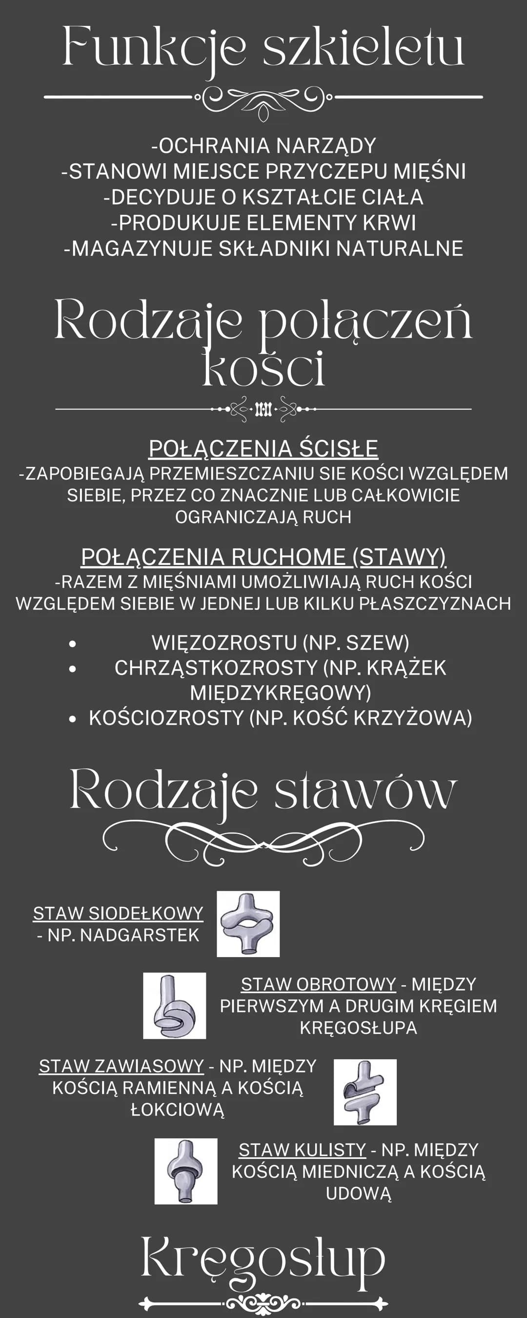# Uklad ruchu

OGÓLNA BUDOWA I FUNKCJE SZKIELETU
RODZAJE POŁĄCZEŃ KOŚCI
SZKIELET OSIOWY I SZKIELET KOŃCZYN
BUDOWA I FUKCJONOWANIE MIĘŚNI SZK