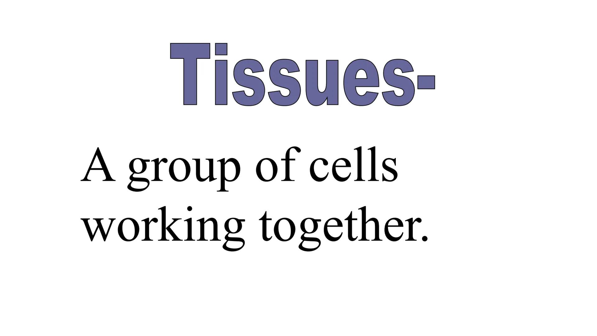 # Animals Chapter 1

Be sure to click on the video links as you go through the slides... # Review:

Remember cells often combine together. #