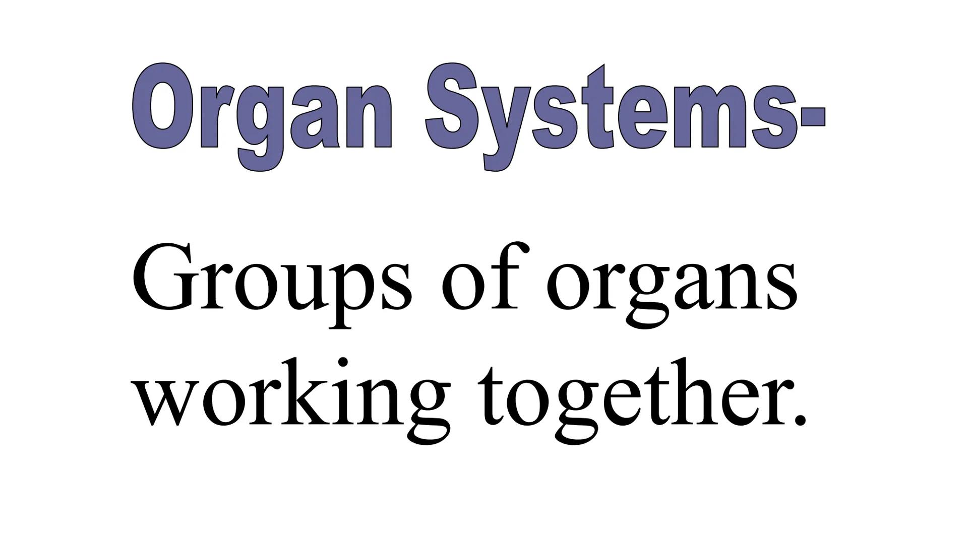 # Animals Chapter 1

Be sure to click on the video links as you go through the slides... # Review:

Remember cells often combine together. #