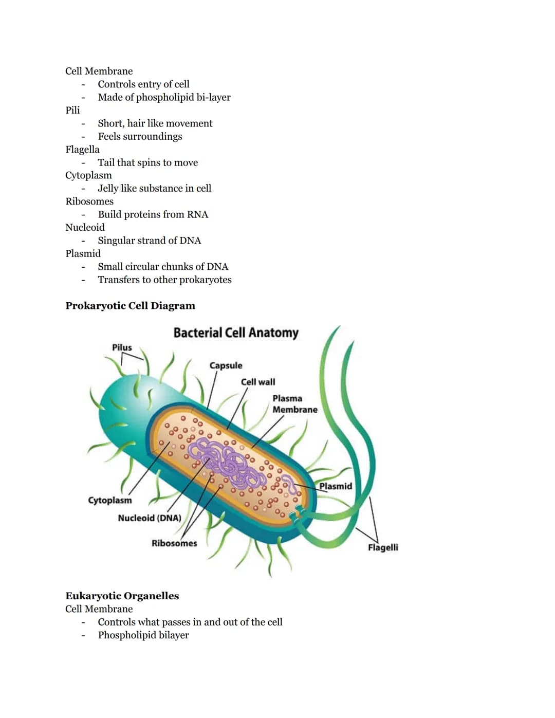 # BIOLOGY: CELLS UNIT STUDY GUIDE

Levels of Organization
Atoms -> Organelles -> Cells -> Tissues -> Organs -> Organ Systems

8 Characterist