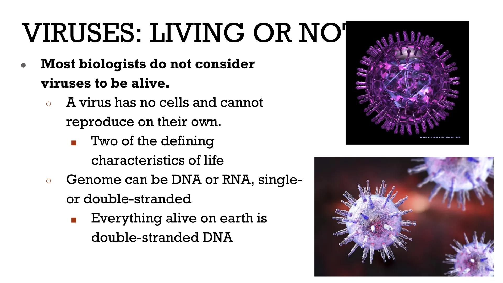 # VIRUSES &
# BACTERIA

Biology # VIRUSES: LIVING OR NO'

*   Most biologists do not consider
viruses to be alive.

    *   A virus has no c