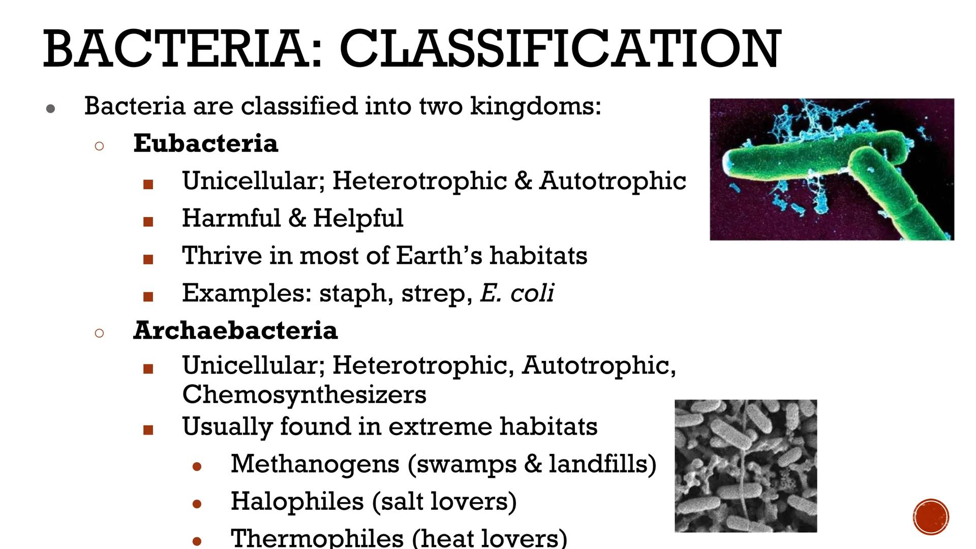 # VIRUSES &
# BACTERIA

Biology # VIRUSES: LIVING OR NO'

*   Most biologists do not consider
viruses to be alive.

    *   A virus has no c