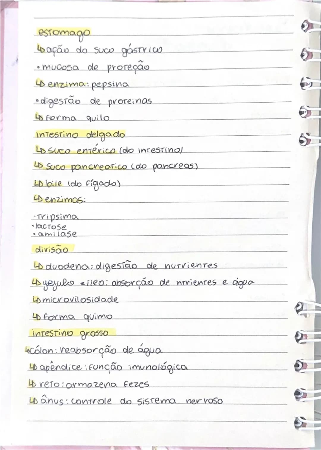 # Sistema digestório

Função: transformar macromoléculas em micromoléculas
etapas:
- ingestão
- digestão
- absorção
- egestão

boca:
- masti
