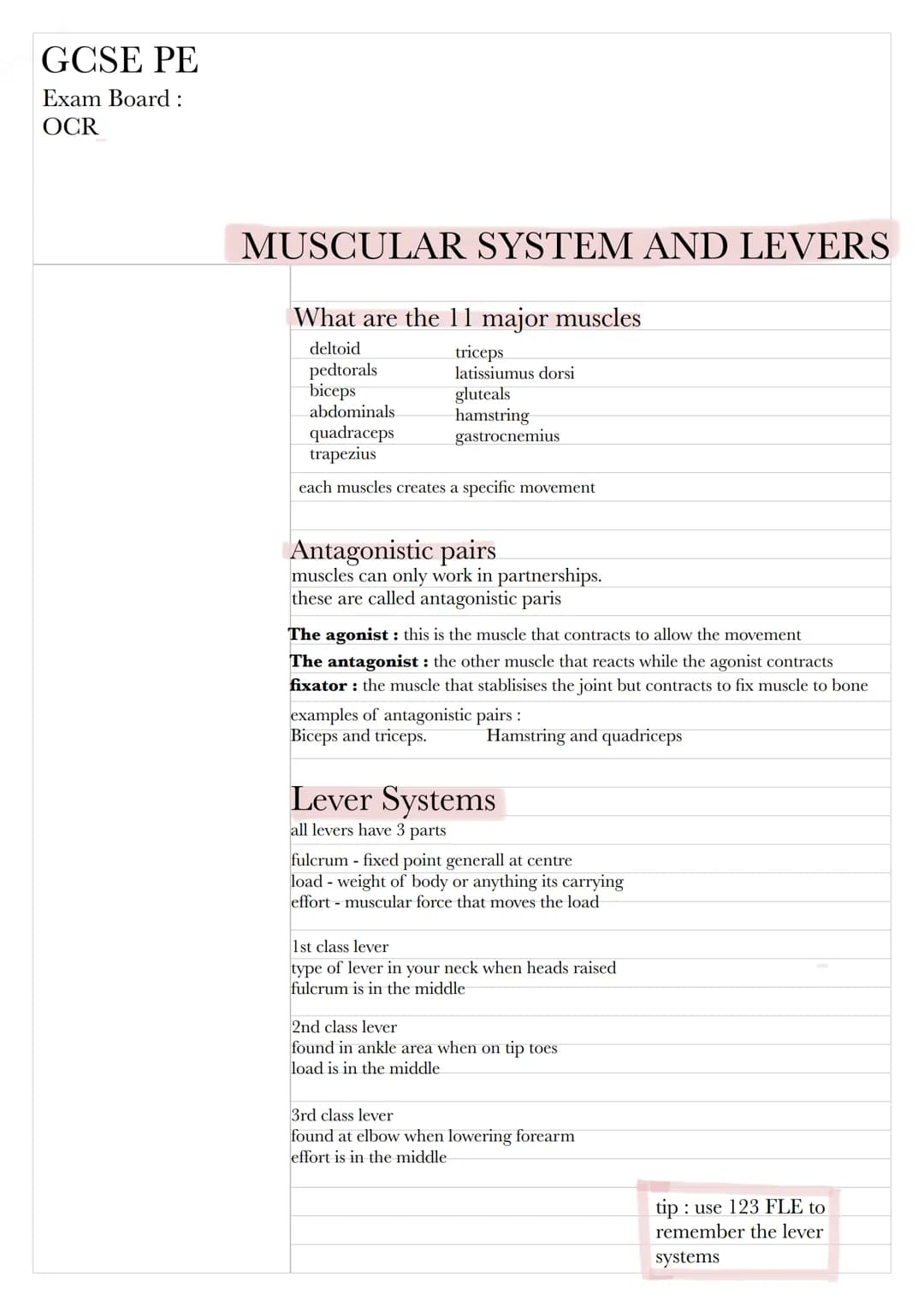 # GCSE PE
Exam Board:
OCR

# MUSCULAR SYSTEM AND LEVERS

What are the 11 major muscles

deltoid triceps
pedtorals latissiumus dorsi
biceps g