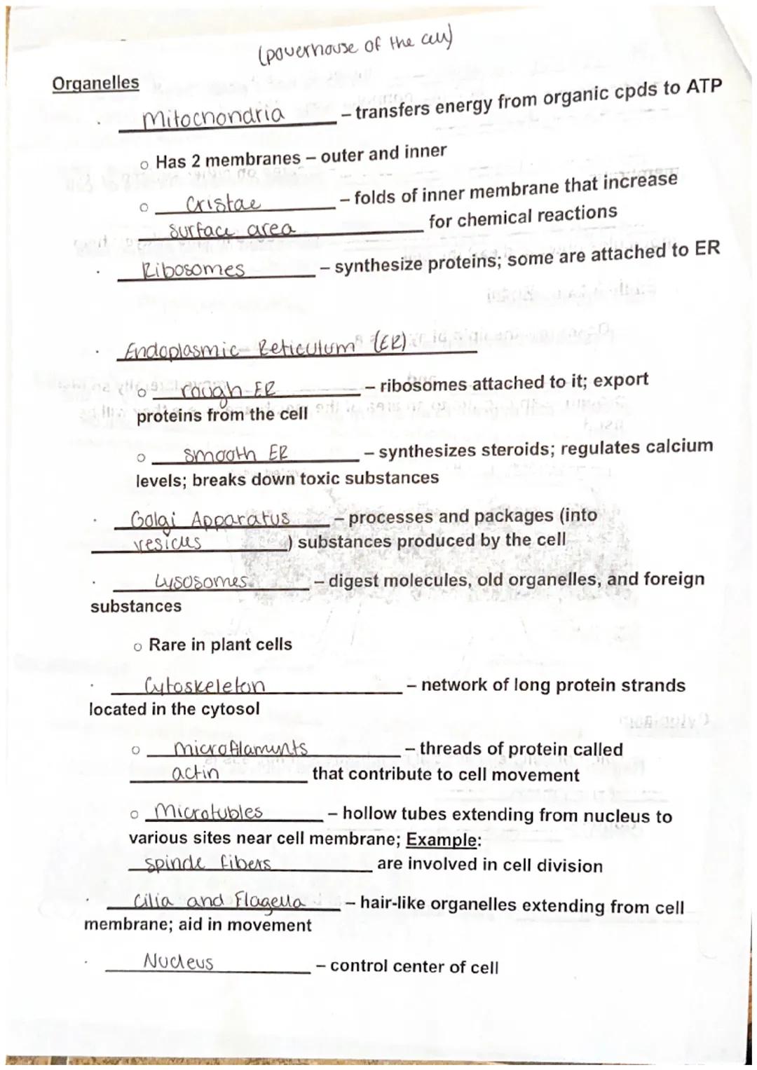 Maryanna S.

Biology I Unit 3 Cell Structure, Function, and Transport Notes

Discovery of the Cell

Robert Hooke (English scientist) observe