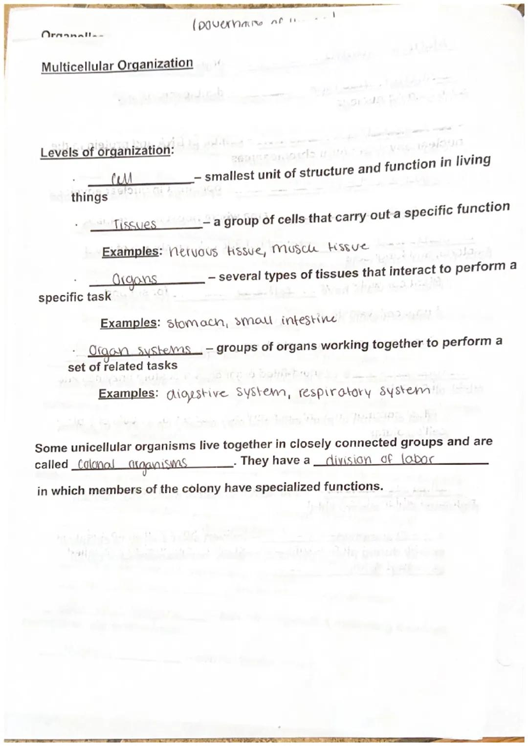 Maryanna S.

Biology I Unit 3 Cell Structure, Function, and Transport Notes

Discovery of the Cell

Robert Hooke (English scientist) observe