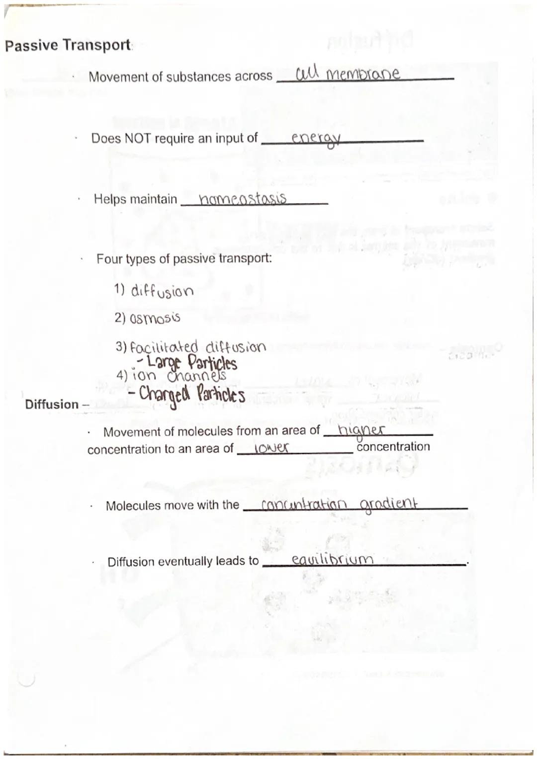 Maryanna S.

Biology I Unit 3 Cell Structure, Function, and Transport Notes

Discovery of the Cell

Robert Hooke (English scientist) observe