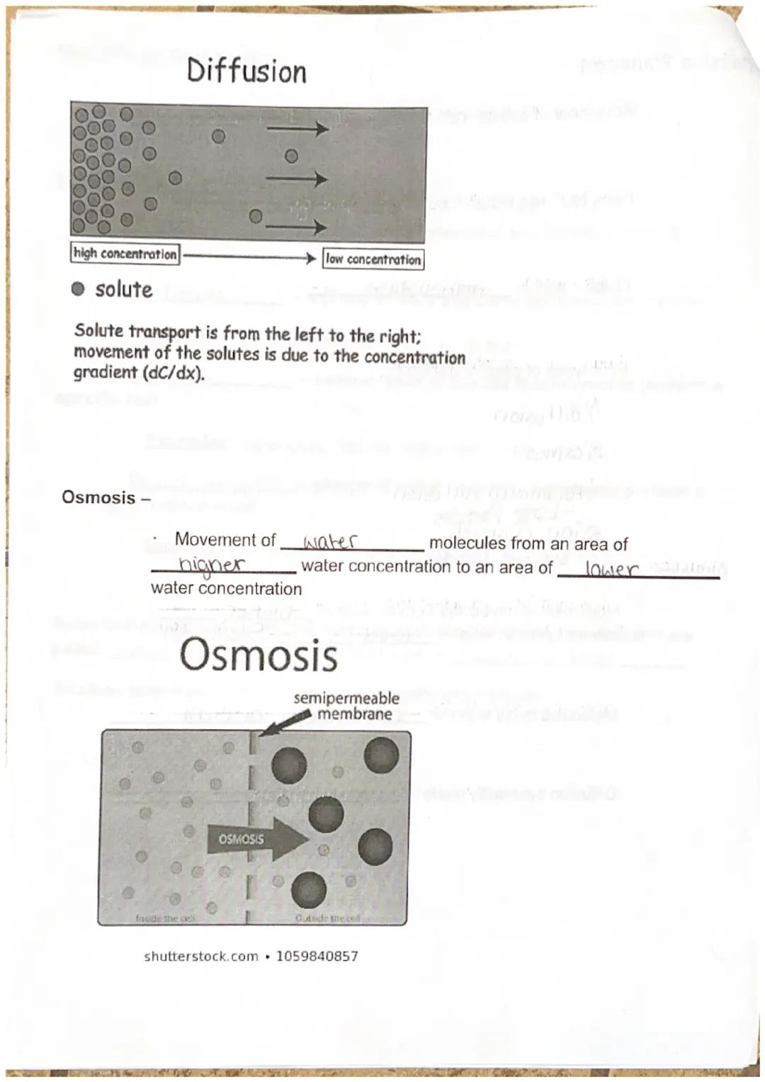 Maryanna S.

Biology I Unit 3 Cell Structure, Function, and Transport Notes

Discovery of the Cell

Robert Hooke (English scientist) observe
