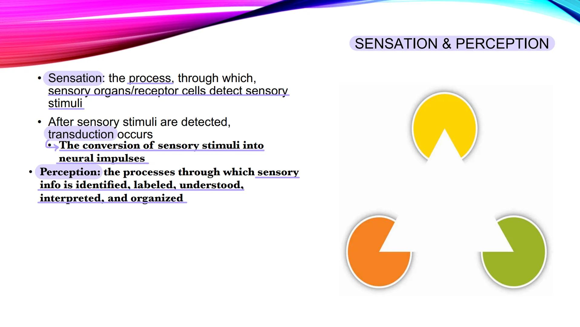UNIT 3: SENSATION AND

PERCEPTION - Sensation: the process, through which, 
sensory organs/receptor cells detect sensory
stimuli
- After sen