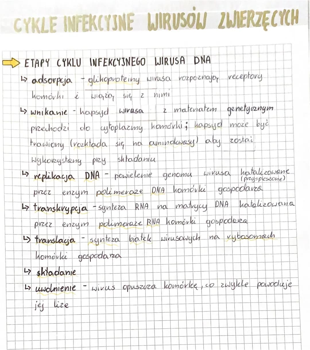 # WIRUSY

WIRUSY to czynniki zakażne zbudowane
2 bralka ovaz
kwasu nukleinowego, które osiągają od kilku do kilkunastu
nanometrów. Soy wewną