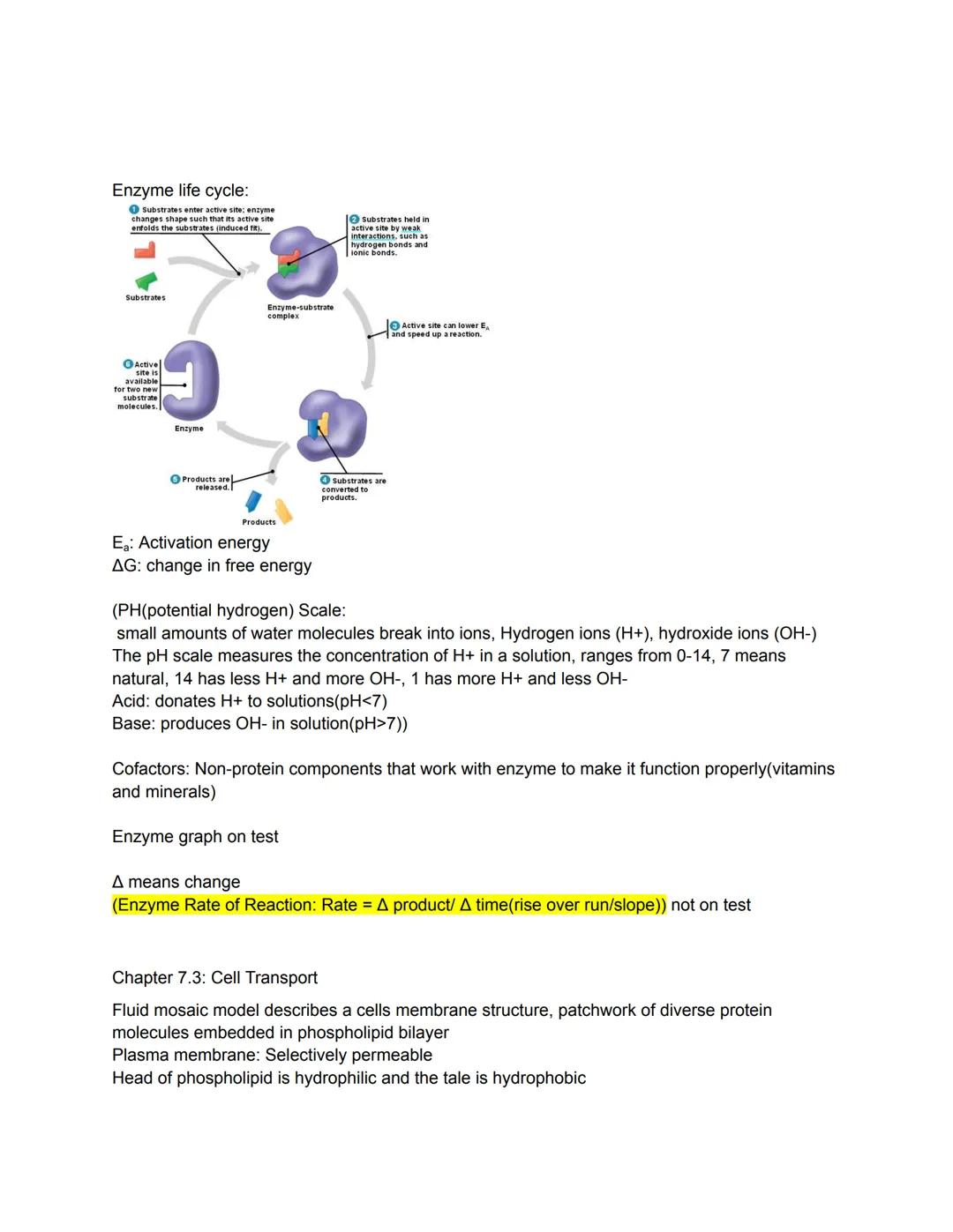 
<p>Science is an organized way of understanding the world. It is a process that only relates to the natural world and shows patterns and co